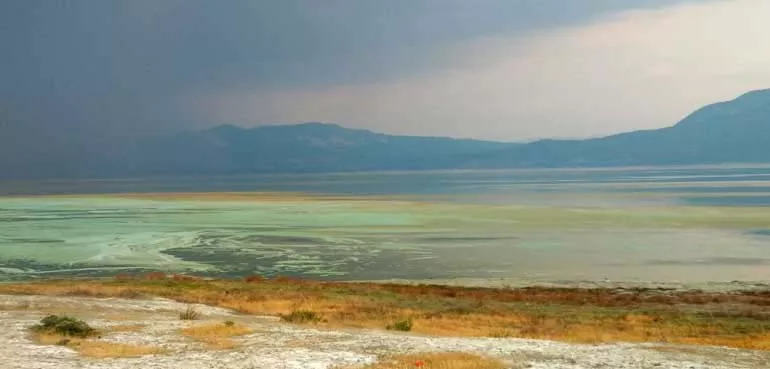 Şaşırtan manzara! Burdur Gölü'nün rengi değişti