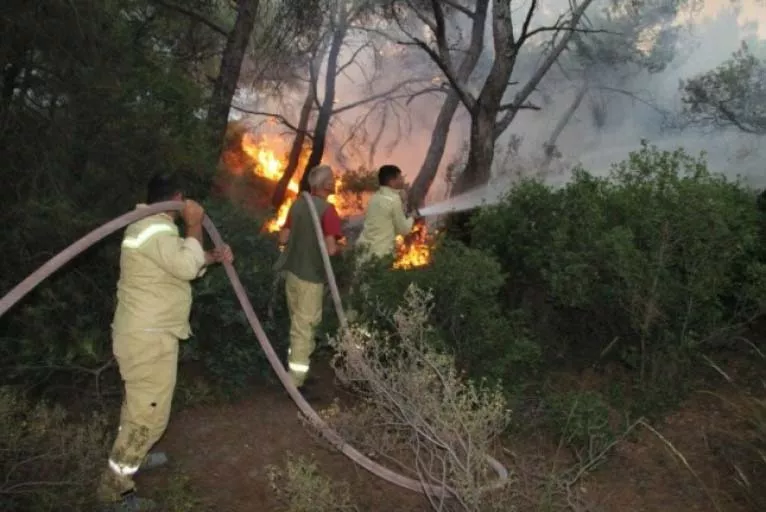 Foça'da orman yangını! Saatler sonra kontrol altında