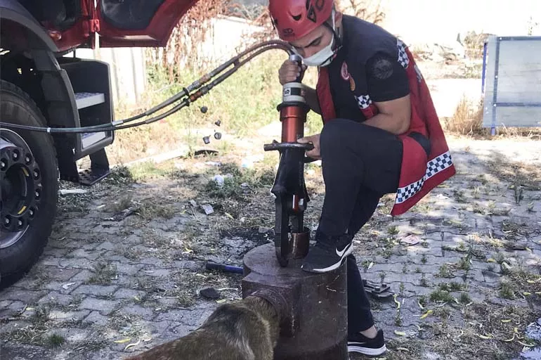 Kafası soba borusuna sıkışan köpek Sakarya İtfaiyesi tarafından kurtarıldı