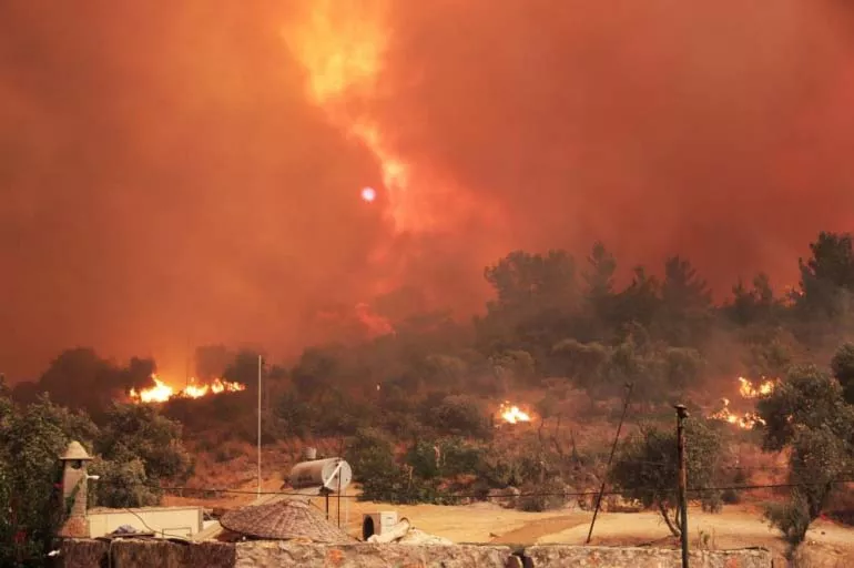 Orman yangınları bitince ne yapılmalı? Uzman isimden dikkat çeken uyarı