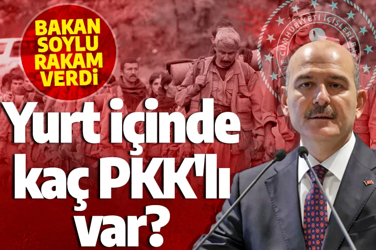 Son dakika: Bakan Soylu, PKK'nın yurt içindeki terörist sayısını açıkladı