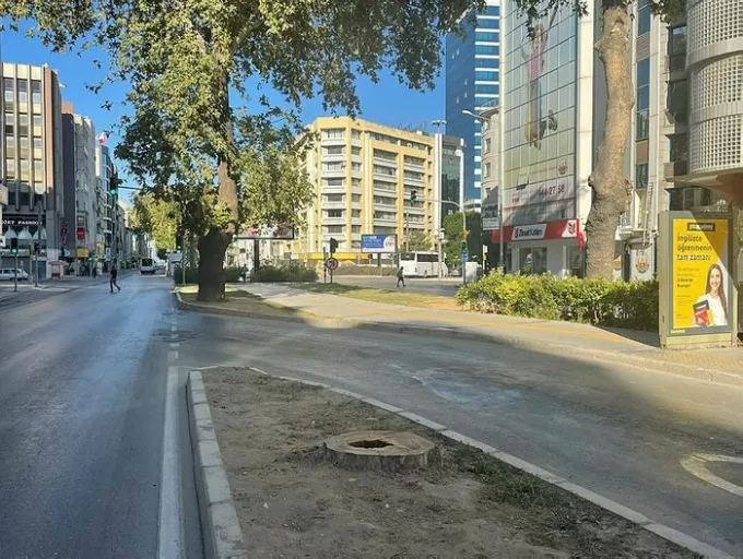 CHP’li İzmir Büyükşehir Belediyesi’nden ağaç katliamı