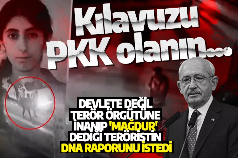 Kılavuzu PKK olanın... Devlete değil terör örgütüne inanıp 'mağdur' dediği teröristin DNA raporunu istedi