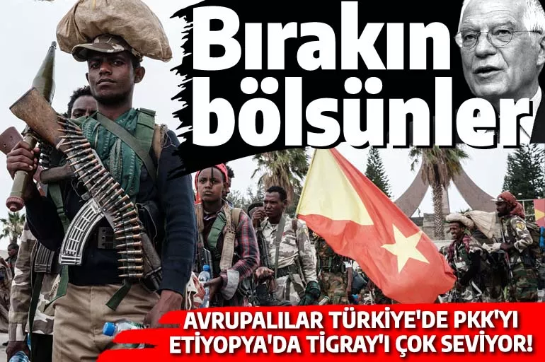 Türkiye'de PKK, Etiyopya'da Tigray! Avrupa Birliği'nden ayrılıkçı isyancılara destek