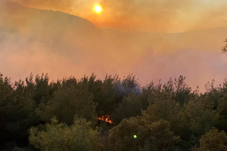 Osmaniye'de korkutan orman yangını! Ekipler 5 saat boyunca uğraş verdi