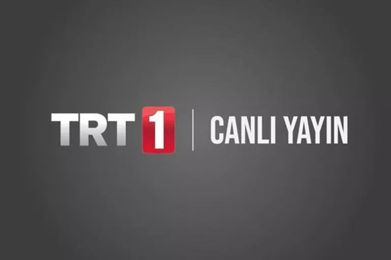 TRT1 frekans ayarı nasıl yapılır? TRT frekans uydu bilgisi, Türkiye - Galler maçı güncel kanal ayarı