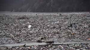 Drina Nehri çöpten geçilmiyor! Yüzeyi atıklarla kaplandı
