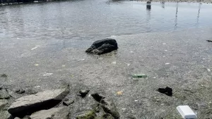 İstanbul'un sahilleri çöplerle doldu! Vatandaşlar isyan etti