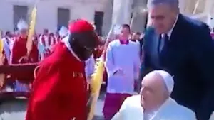 Papa'dan ırkçılık: Siyahi kardinale yaptığı tepki çekti
