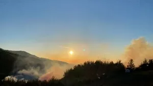 Osmaniye'de orman yangını! Ekipler bölgede