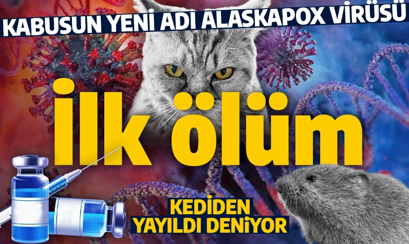 Kabus koronavirüs gibi yayılır mı? Yetkililer açıkladı: Alaskapox'tan ilk ölüm gerçekleşti!