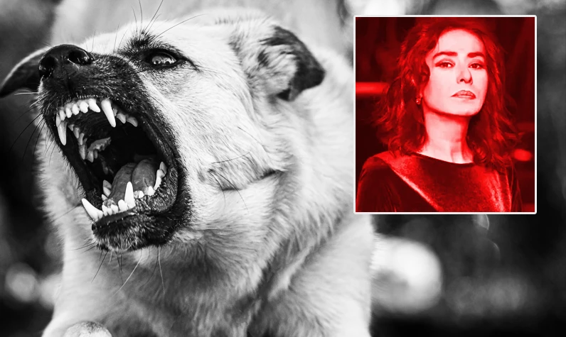 Sokak köpekleri için "gebersin" demişti! Yıldız Tilbe'nin açıklaması sosyal medya gündeminde: İşte duruş işte sanatçı
