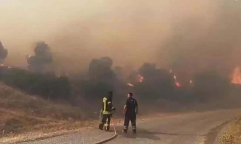 Aydın'da orman yangını! Bölgeye çok sayıda ekip sevk edildi