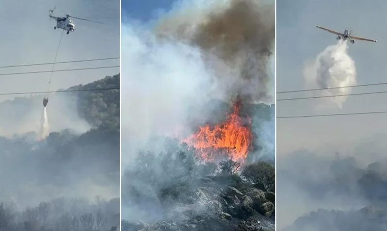 Çanakkale'de orman yangını! Alevler antik kente ulaştı: Ekipler aralıksız müdahale ediyor