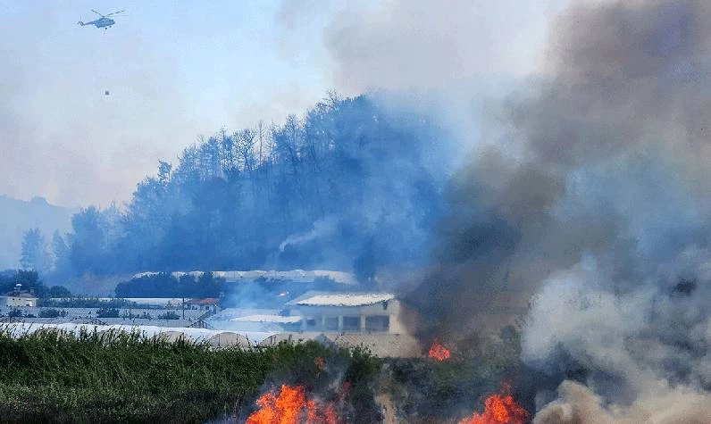 4 Haziran Antalya'da orman yangını nerede, hangi mahallede çıktı? Antalya orman yangını söndürüldü mü?