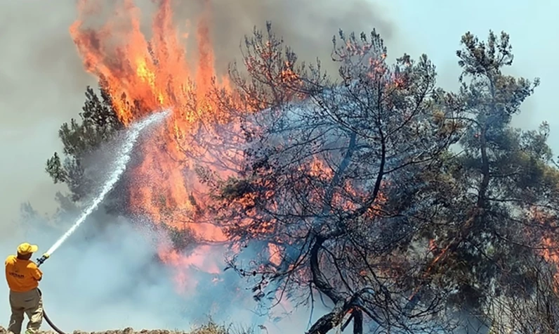 Adana'da orman yangını! Ekipler karadan ve havadan müdahale ediyor