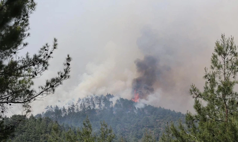 Muğla, Antalya ve Bursa: Ormanlarımız cayır cayır yanmaya başladı
