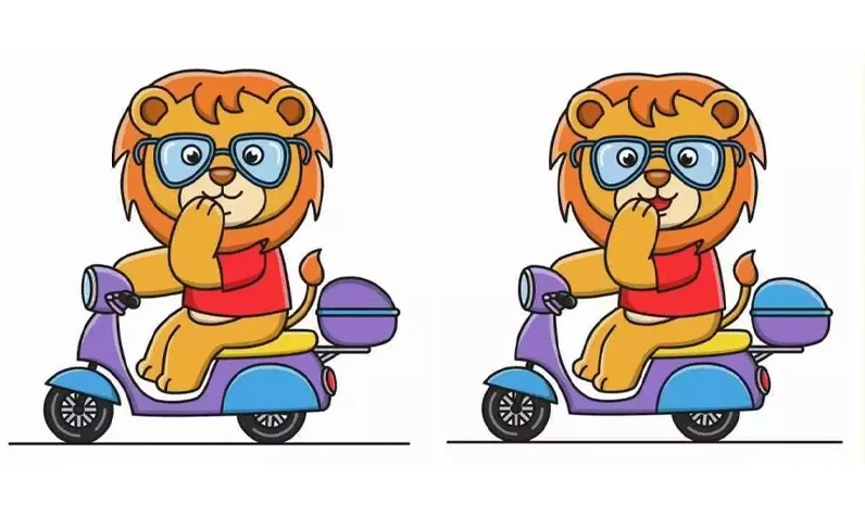 Gözlüklü iki aslanın arasındaki 3 farkı sadece 100 kişiden 1'i 60 saniyede bulamıyor: Zeka testi başlasın!