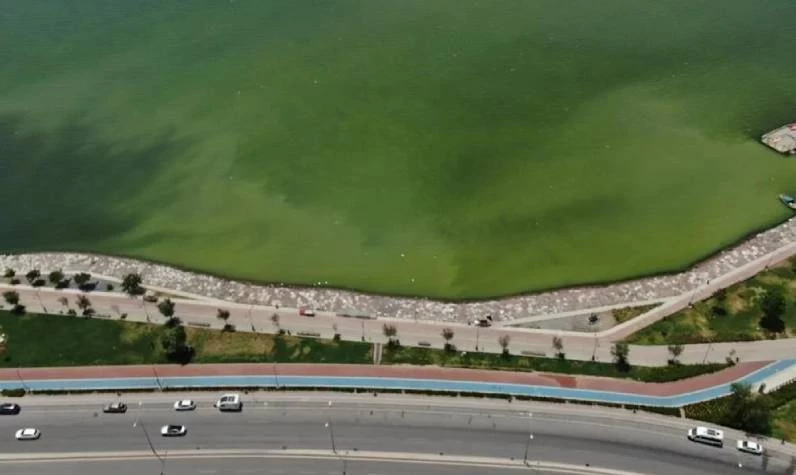 İzmir'de deniz rengi neden değişti? Karşıyaka'da ve Balçova'da deniz neden yeşil ve kahverengi oldu?