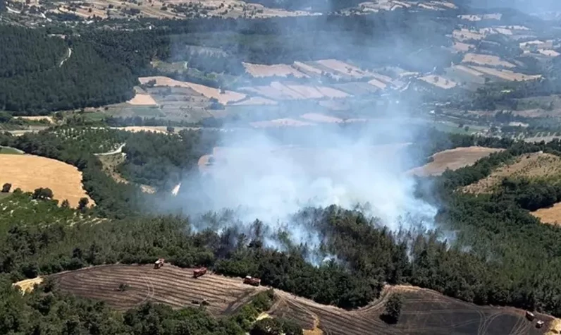 Balıkesir'de tarım arazisinde başlayan yangın ormanlık alana sıçradı: Tehlike büyük!
