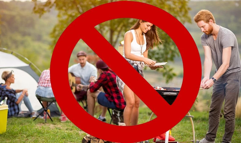 Piknikçilere üzücü haber: Valilik resmen duyurdu! Artık o alanlara giriş yasak