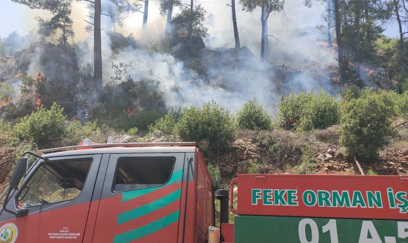 Adana'da orman yangını! Havadan müdahale edilemiyor