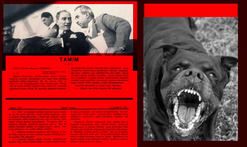 Mustafa Kemal Atatürk ve İsmet İnönü başıboş köpek sorununu 1932'de nasıl çözdü? İşte Resmi Gazete'de yayınlanan karar