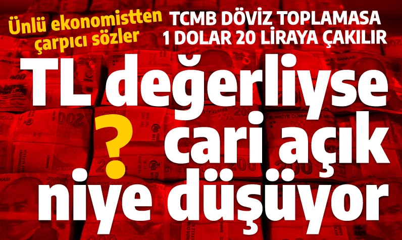 Atilla Yeşilada'dan ekonomistlere çarpıcı soru: Türk Lirası madem çok değerli o halde neden...