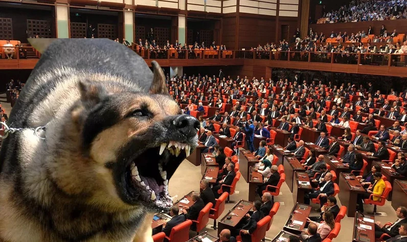 Son dakika: Sokak hayvanları düzenlemesi Meclis'te