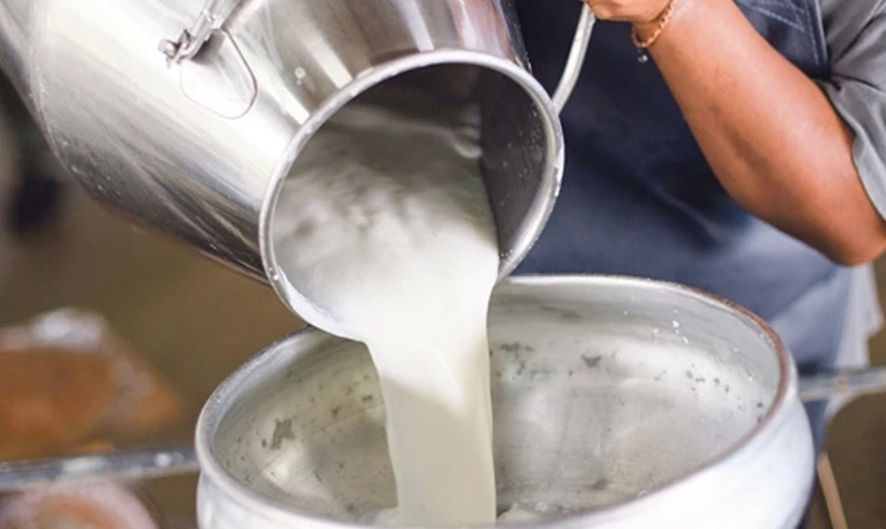 Süt ile ilgili yapılan anketin sonuçları şaşırttı! Çoğu insana göre pastörize süt...