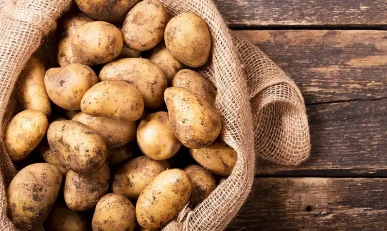 Bilim insanları patates gerçeğini açıkladı! Böyle yiyenler kalbini koruyor