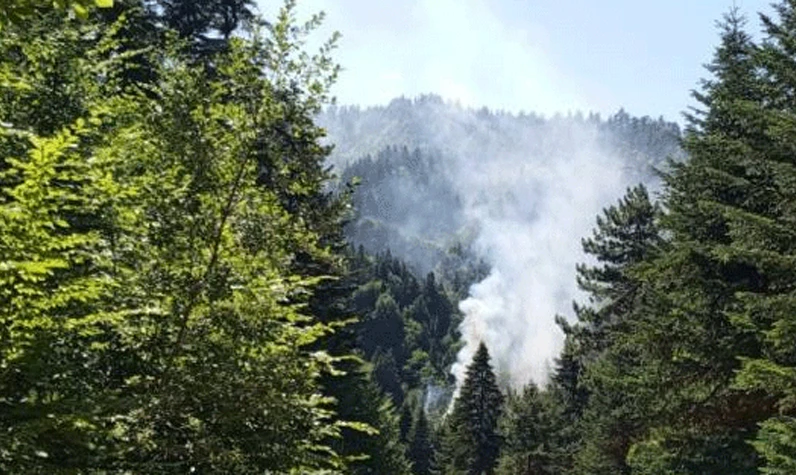 Bir orman yangını daha! 3 hektarlık alan zarar gördü