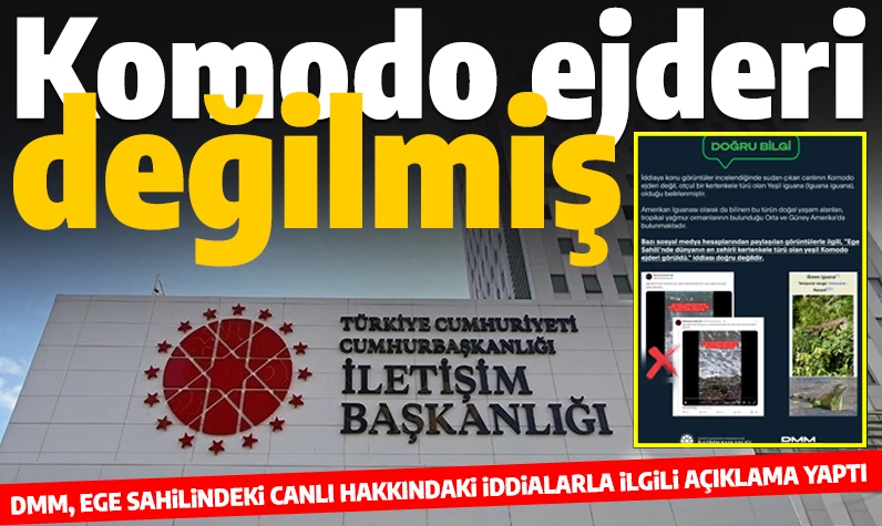 Meğer Komodo ejderi değilmiş! DMM, Ege sahilinde görülen canlının ne olduğunu açıkladı