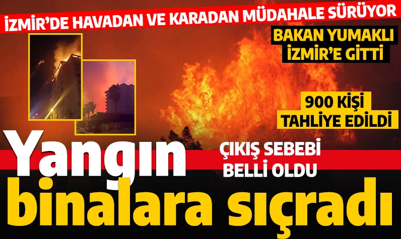 Alevler yerleşim yerlerine yaklaştı! İzmir'deki orman yangını büyüyor: Bazı bölgelere enerji verilemiyor!