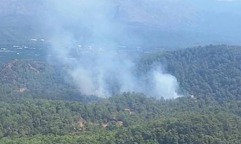 Muğla'da orman yangını: Havadan ve karadan müdahale ediliyor