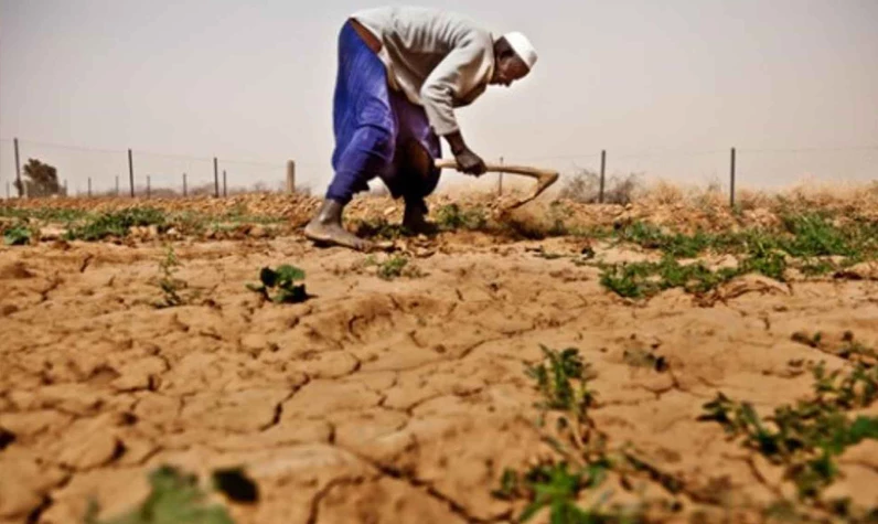 Kabus gibi çöken El Nino ekonomik etkisini gösterdi: Kuraklık sonrası gıda güvenliği için milyar dolarlara ihtiyaç var