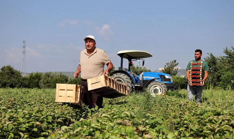 Tarımda yeni destekleme modeli! Bakan Yumaklı'dan mazot ve gübre müjdesi