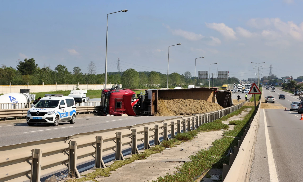 Koskoca tır, arı yüzünden yoldan çıktı