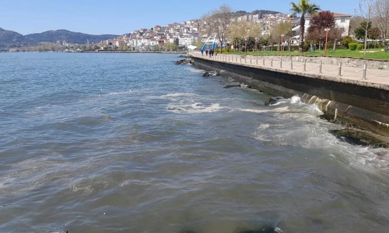 Kabus geri döndü! Marmara Denizi'nde korkutan görüntü