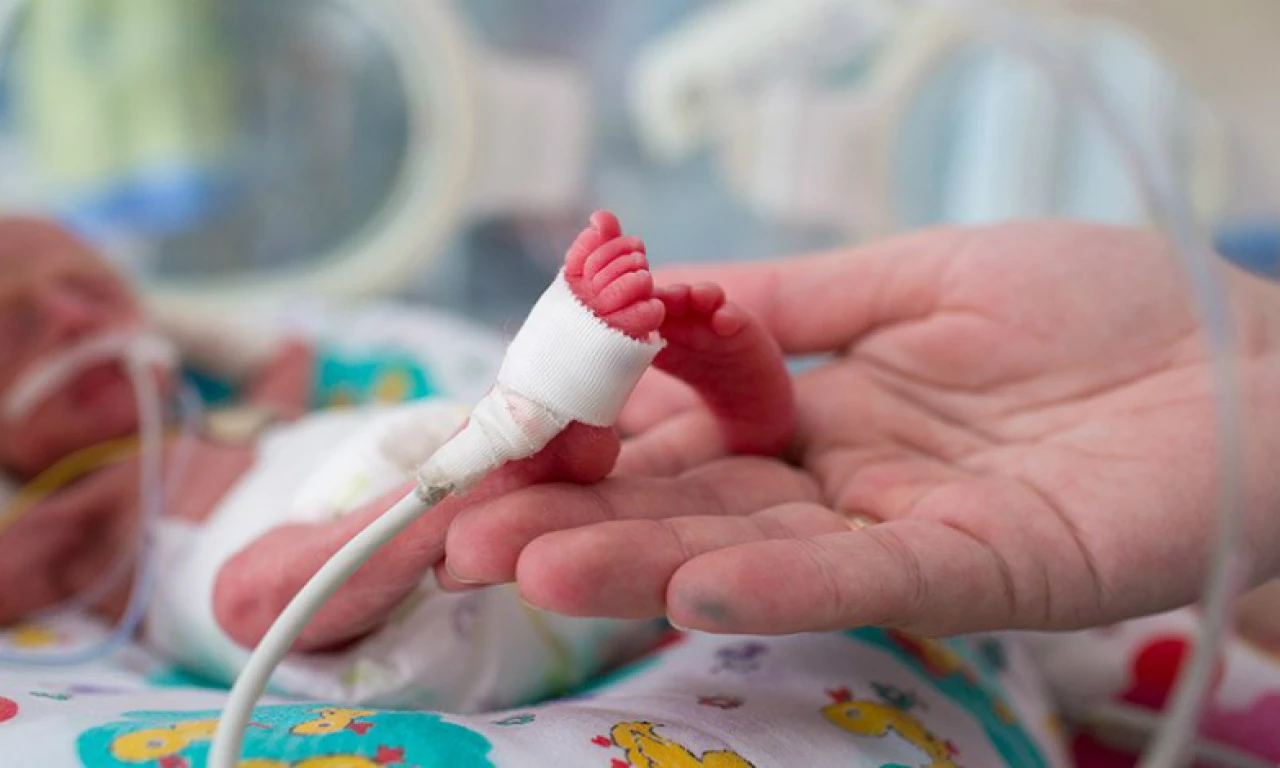 Savcıyı makam odasında tehdit eden 'bebek çetesi'nin ses kayıtları ifşa oldu: Mehtap çocuğu öldür!