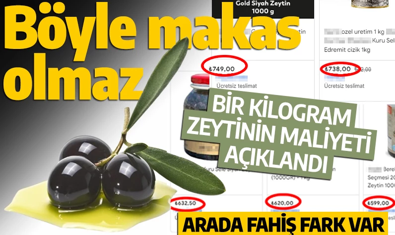 Böyle makas olmaz! Bir kilogram zeytinin maliyeti açıklandı: Arada fahiş fark var